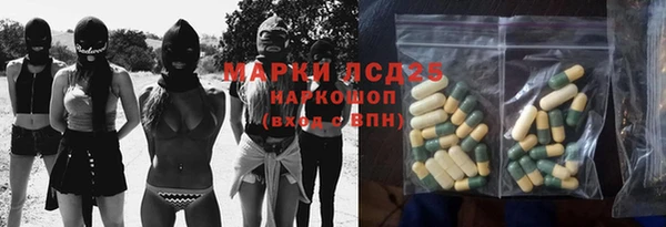 гидра Аркадак