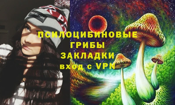 гидра Аркадак